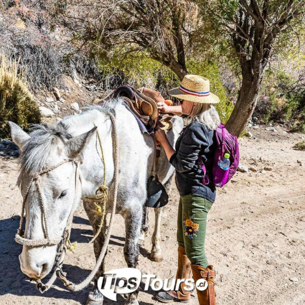 Cabalgata Rio y Precordillera - Imagen 3