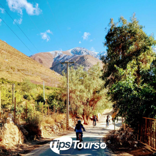 Bicicleta Valle de Elqui - Imagen 2