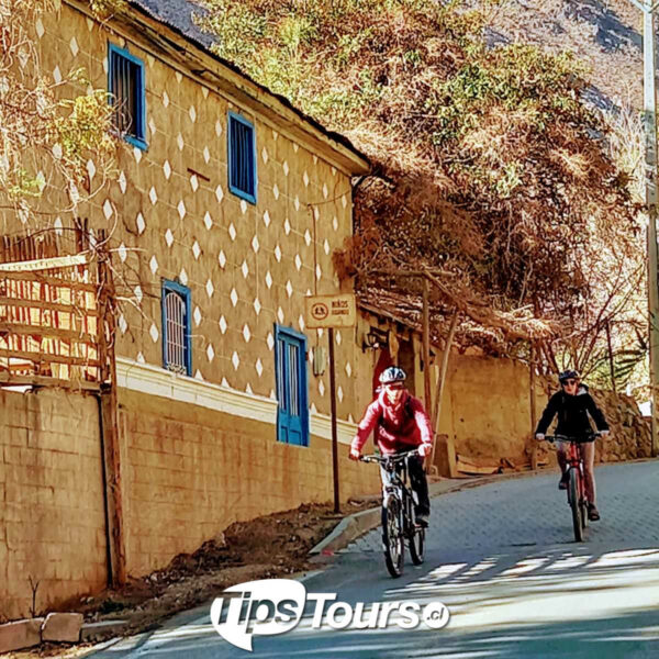 Bicicleta Valle de Elqui - Imagen 5